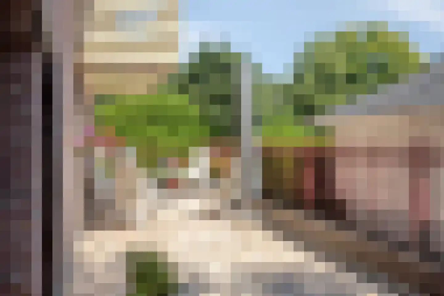 Beukenlaan 70 A Rhenen thumbnail 48