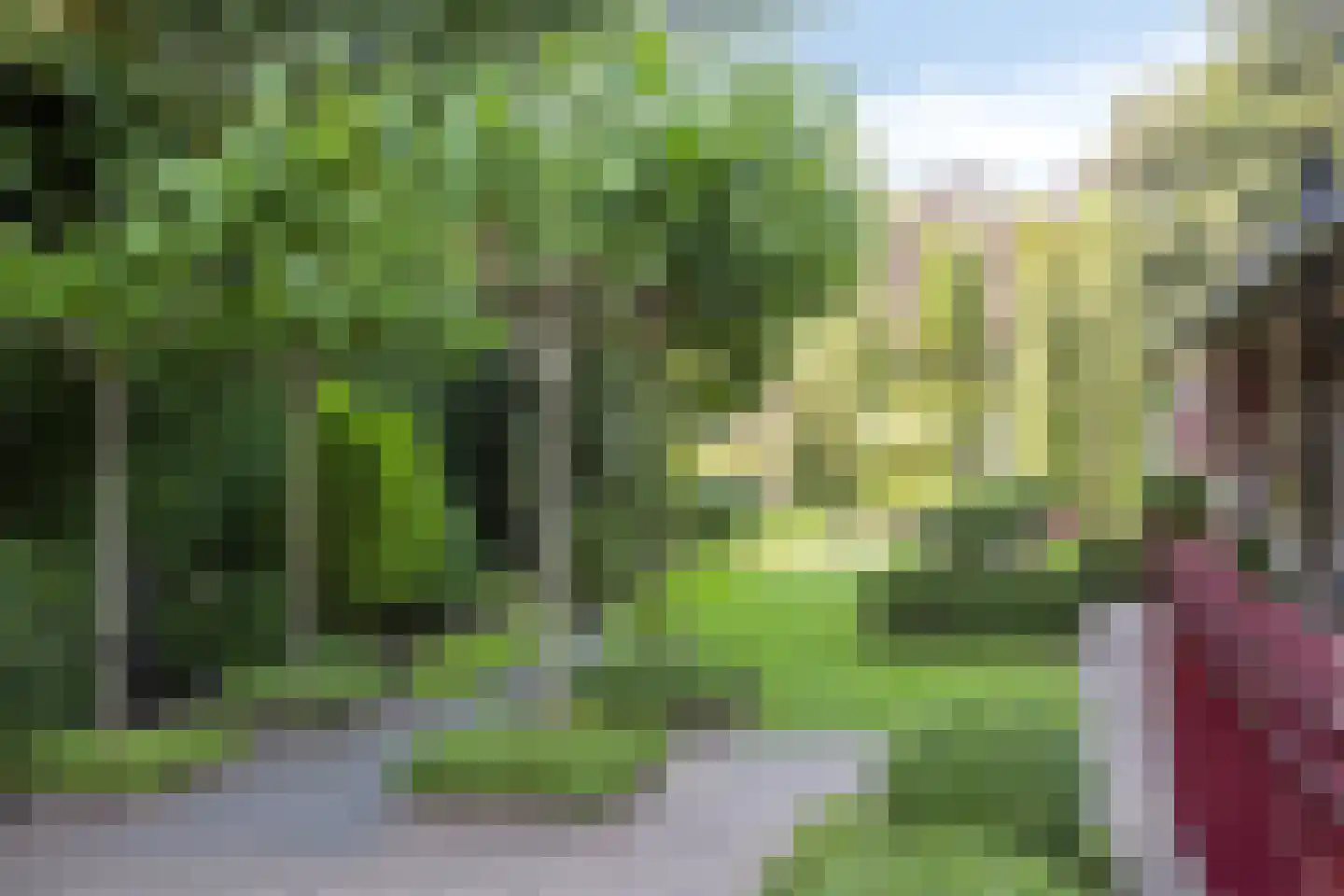 Beukenlaan 70 A Rhenen thumbnail 50