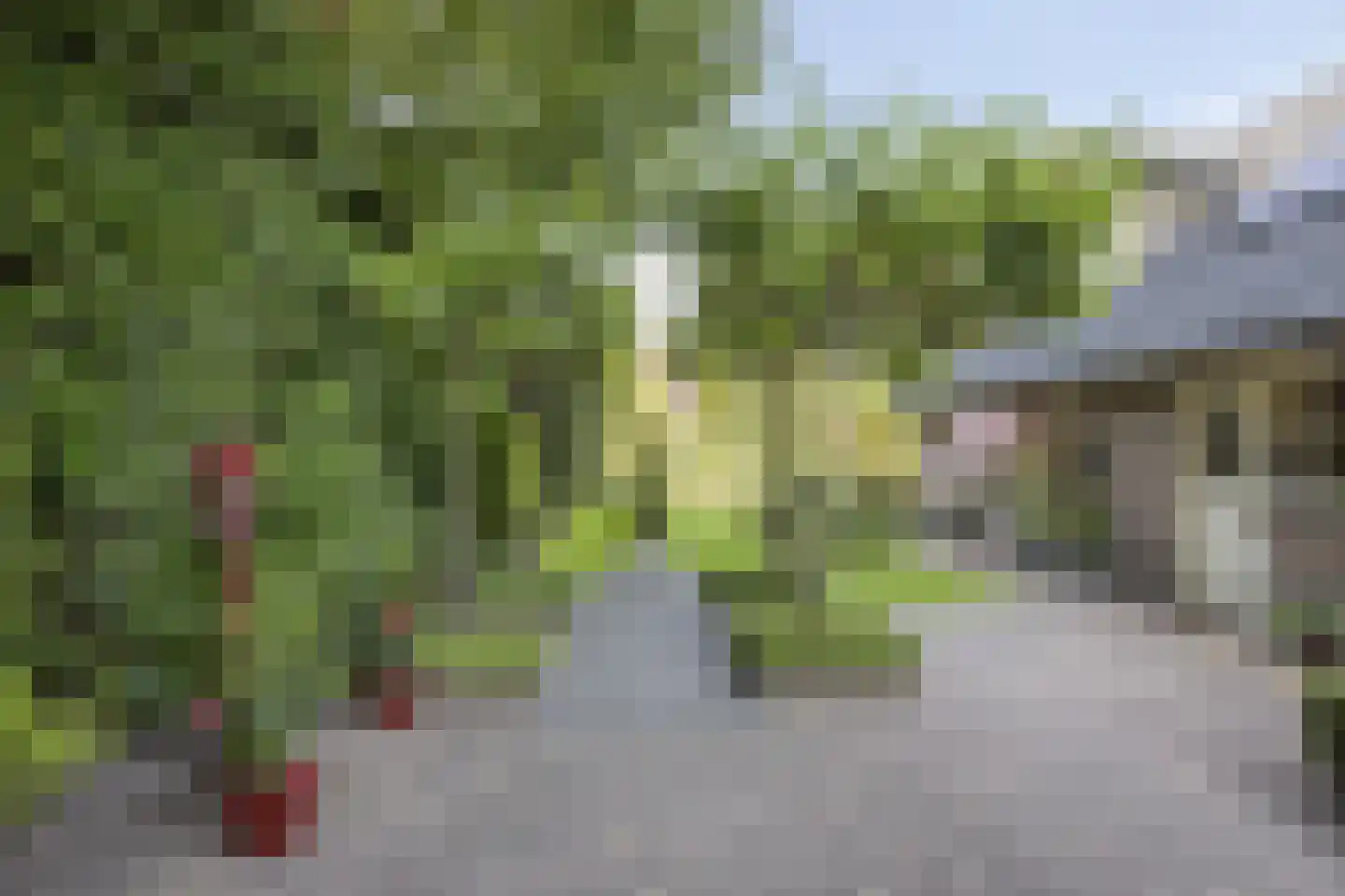 Beukenlaan 70 A Rhenen thumbnail 57