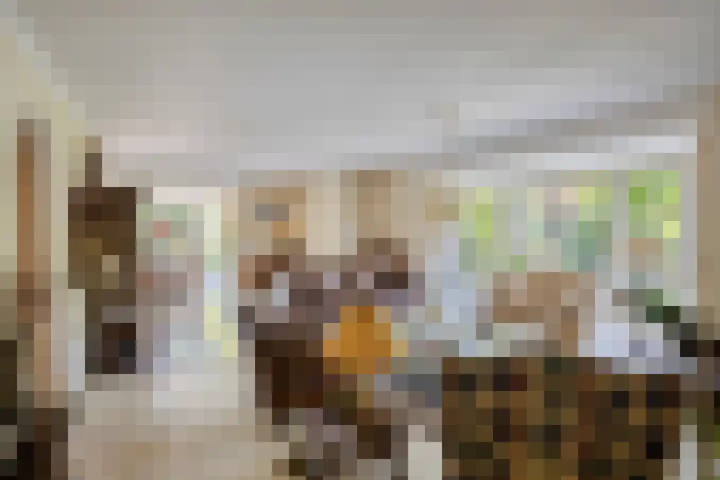 Beukenlaan 70 A Rhenen thumbnail 8