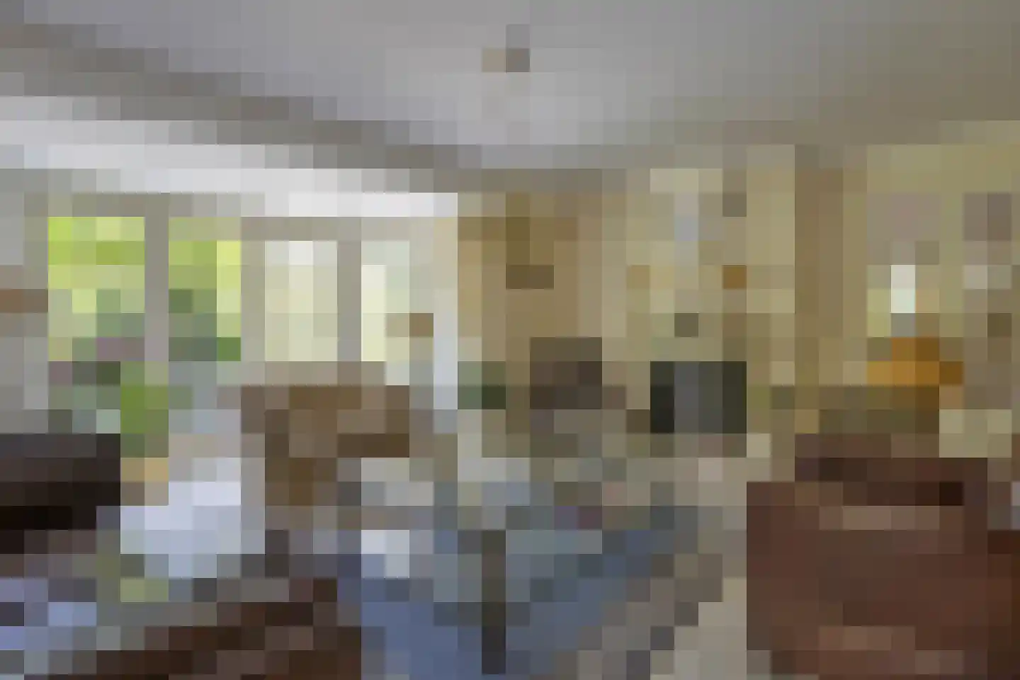 Beukenlaan 70 A Rhenen thumbnail 9