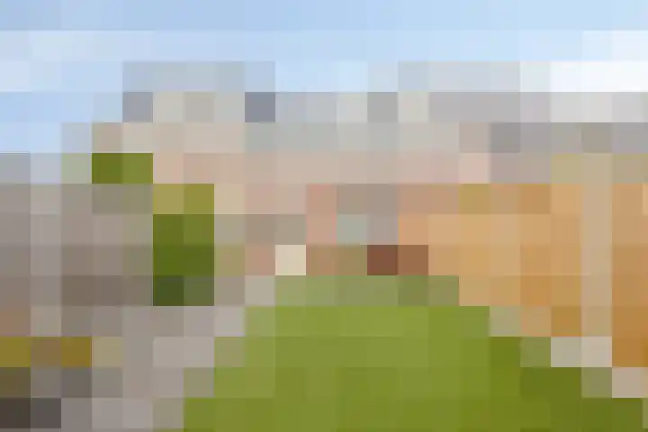 Beukenlaan 70 Eibergen thumbnail 28