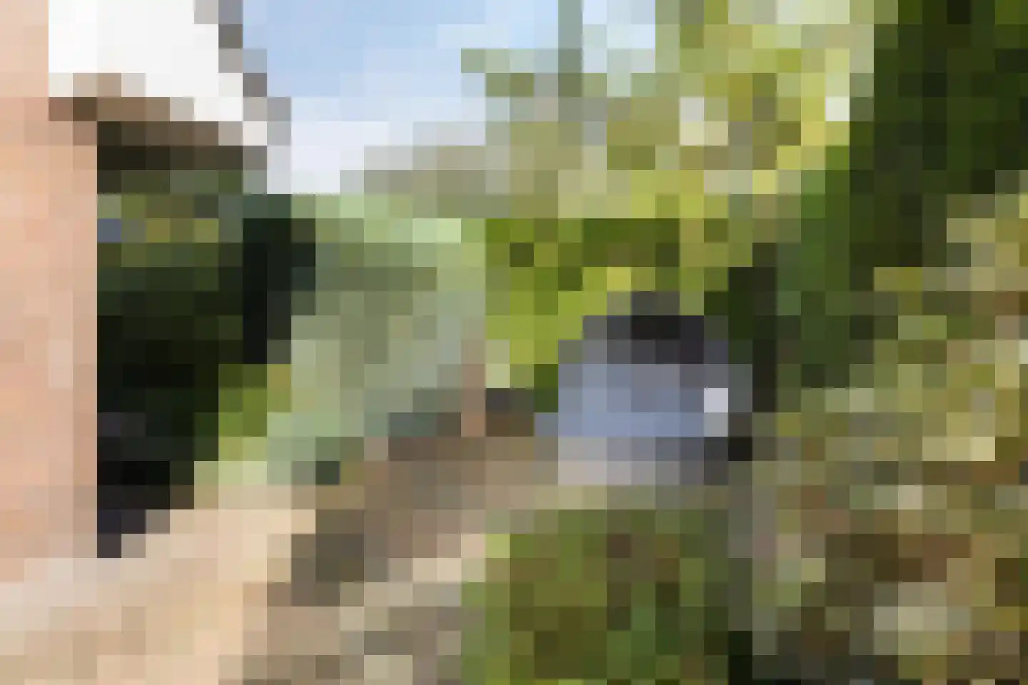 Beukenlaan 71 Soest thumbnail 24