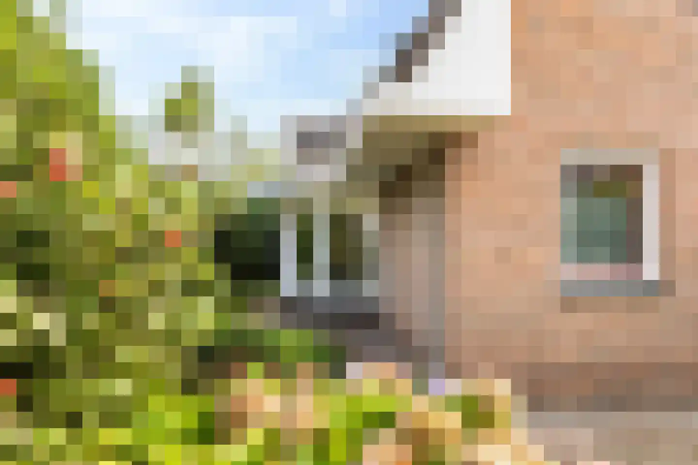 Beukenlaan 71 Soest thumbnail 25