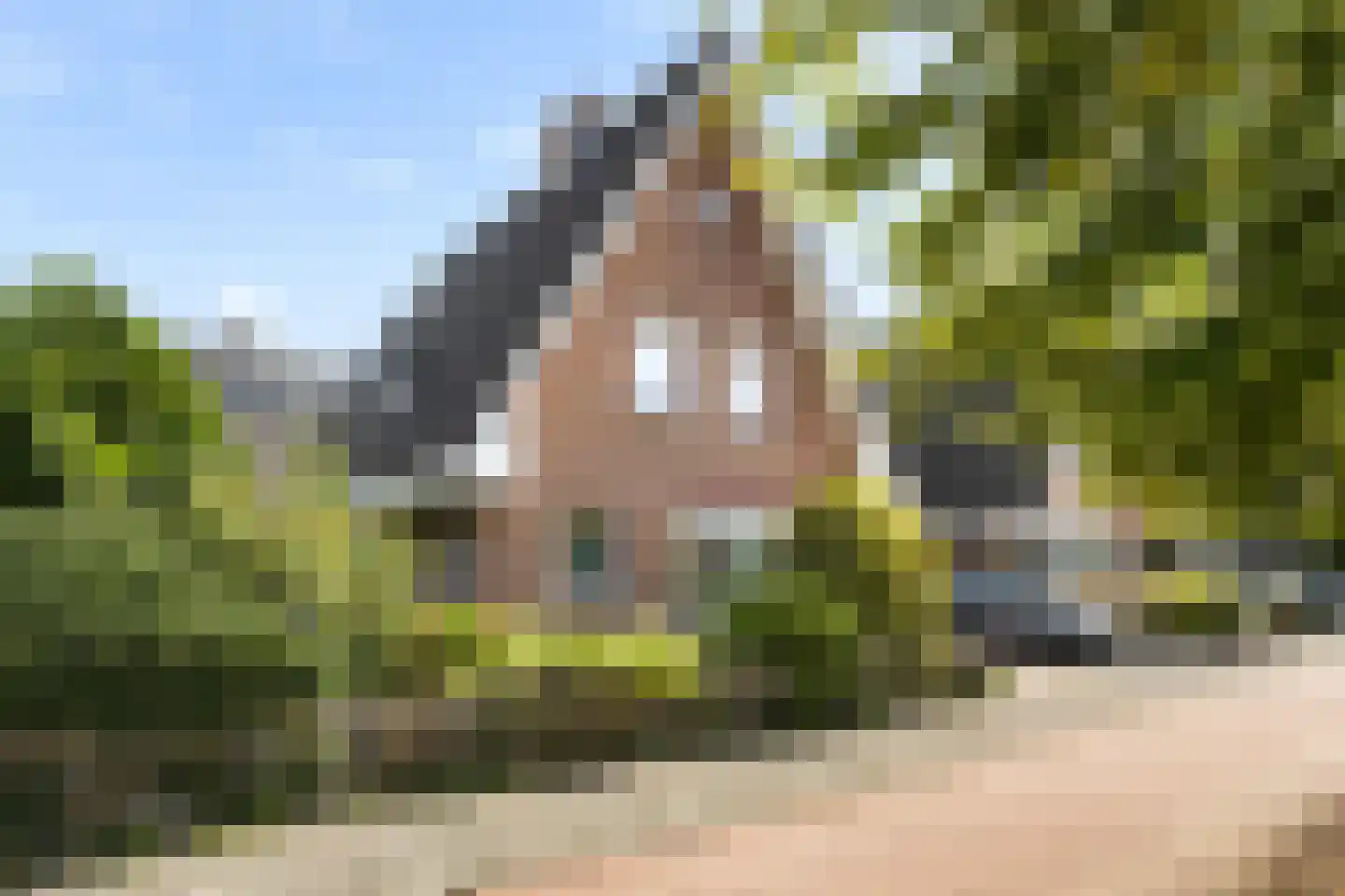 Beukenlaan 71 Soest thumbnail 29