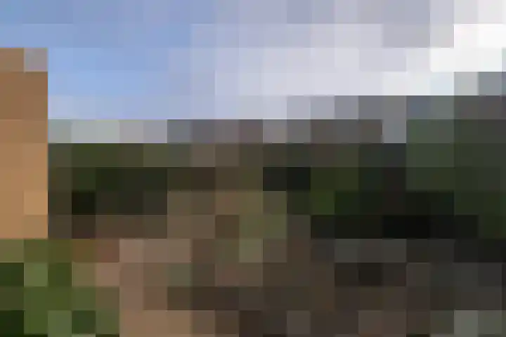 Beukenlaan 74 Bunde thumbnail 21