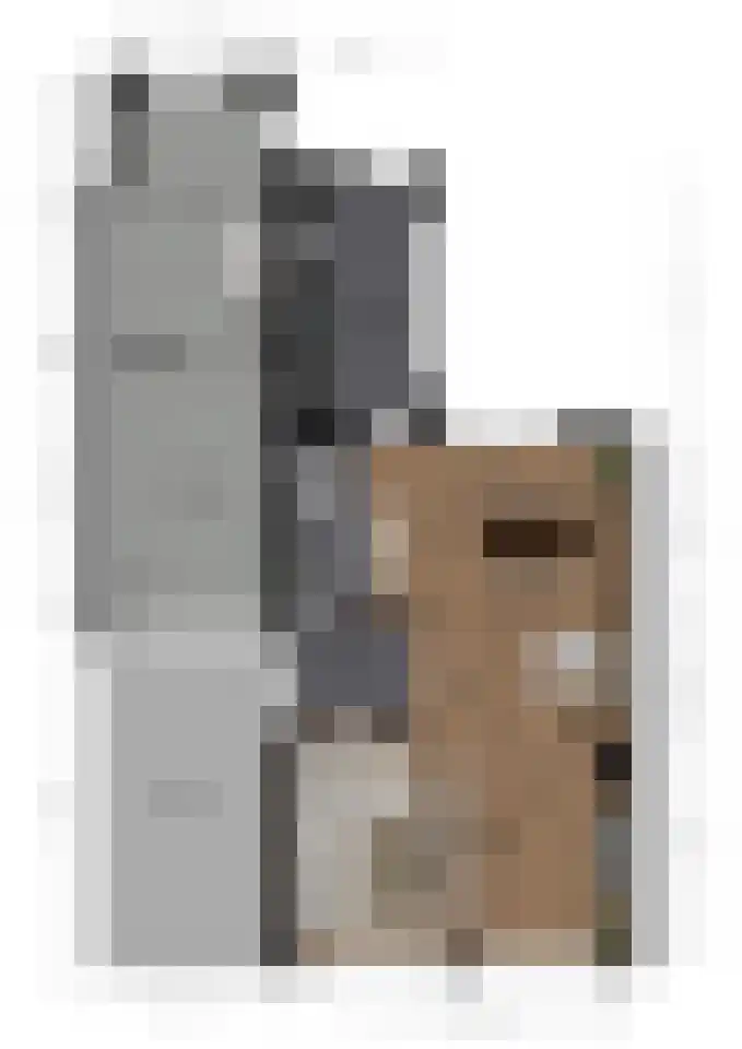 Beukenlaan 74 Bunde thumbnail 28