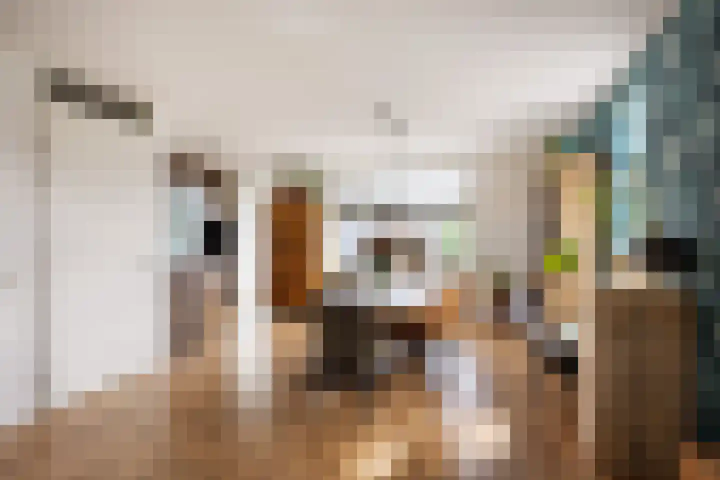 Beukenlaan 75 Appingedam thumbnail 10