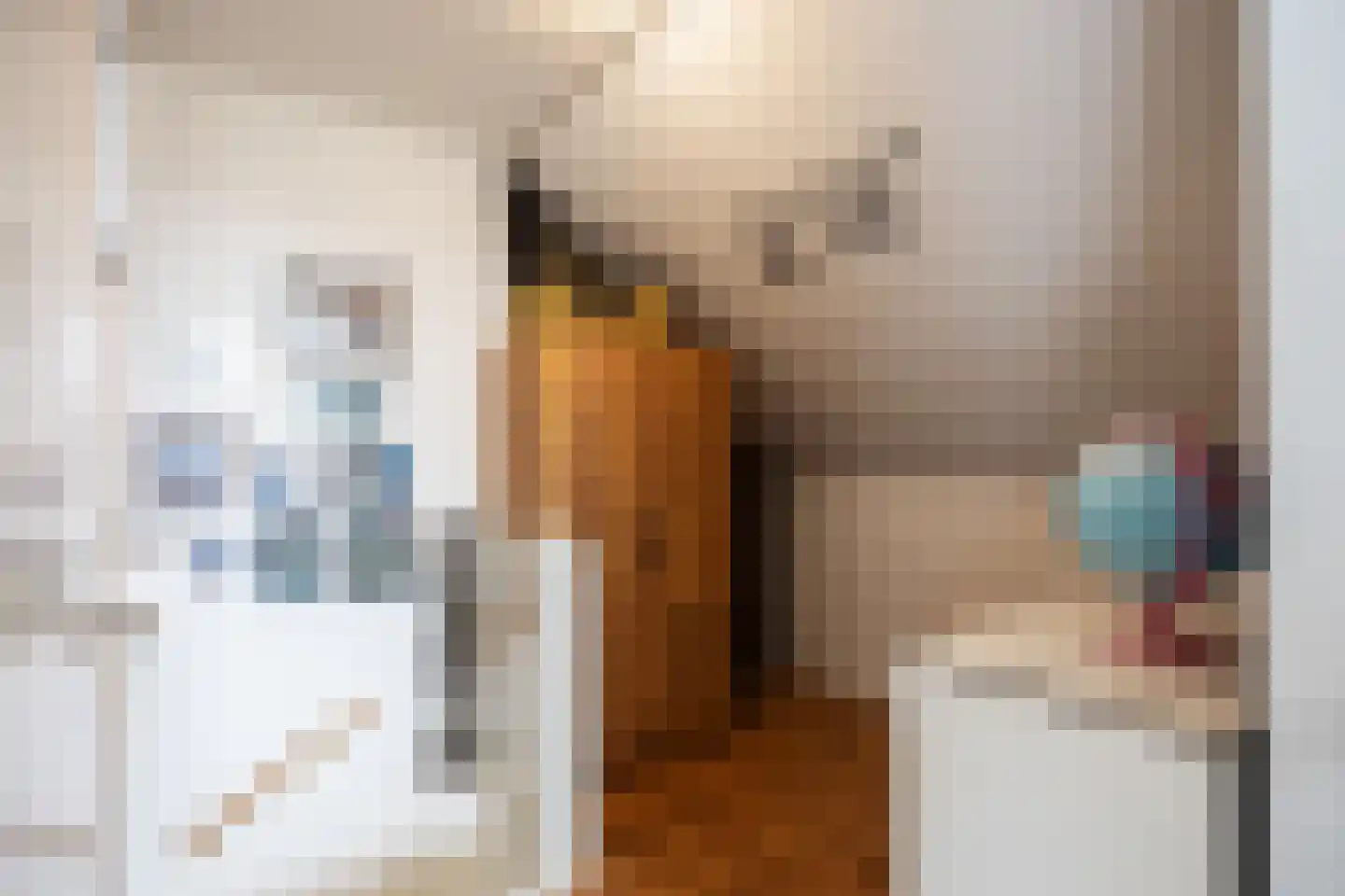 Beukenlaan 75 Appingedam thumbnail 36