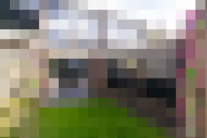 Beukenlaan 75 Twisk thumbnail 21