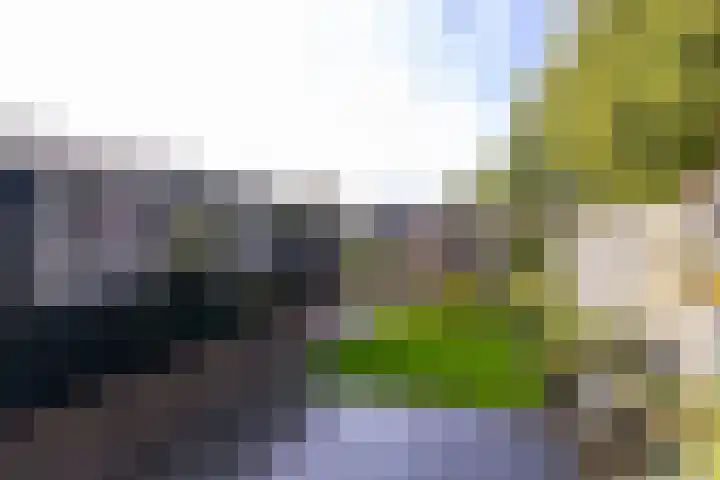 Beukenlaan 75 Twisk thumbnail 23