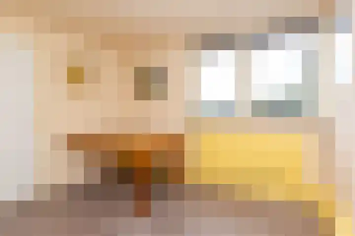 Beukenlaan 75 Twisk thumbnail 41