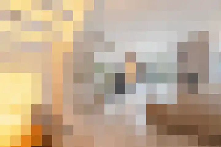 Beukenlaan 77 Borculo thumbnail 11