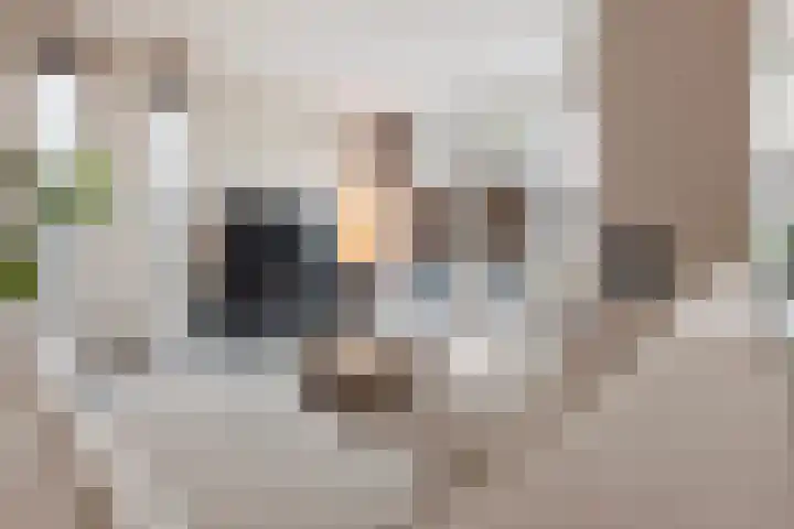 Beukenlaan 77 Borculo thumbnail 13