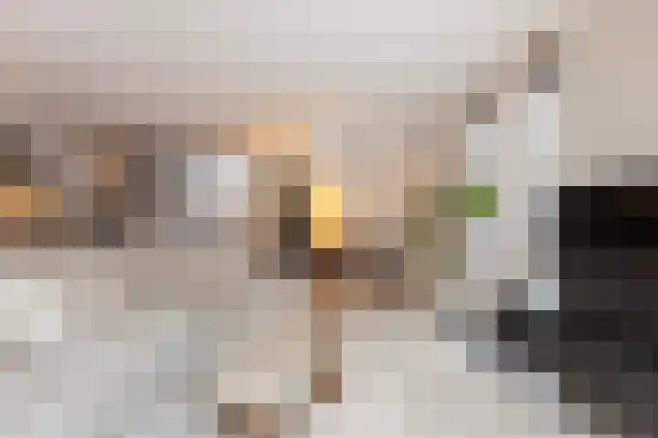 Beukenlaan 77 Borculo thumbnail 16