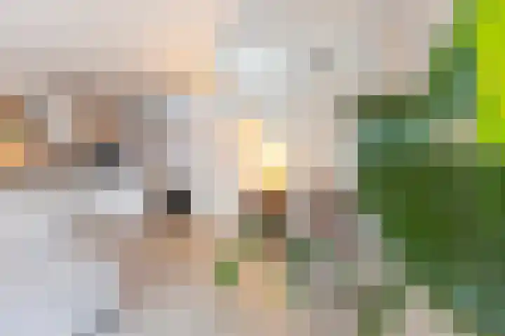 Beukenlaan 77 Borculo thumbnail 18