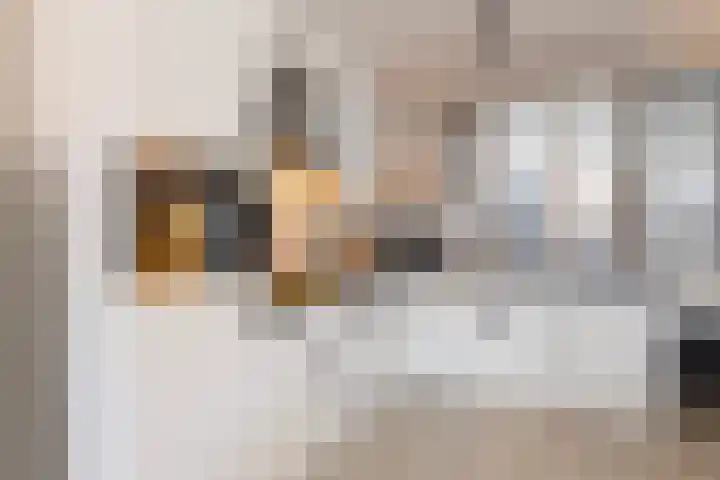 Beukenlaan 77 Borculo thumbnail 22