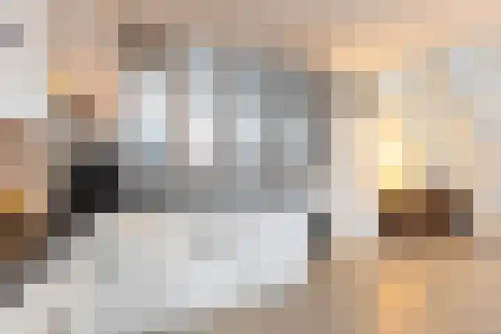 Beukenlaan 77 Borculo thumbnail 23