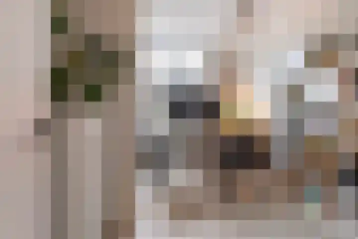 Beukenlaan 77 Borculo thumbnail 34