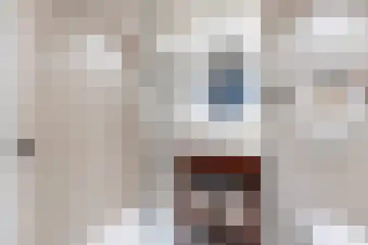 Beukenlaan 77 Borculo thumbnail 35