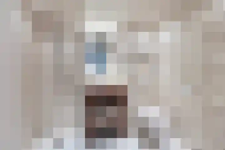 Beukenlaan 77 Borculo thumbnail 36