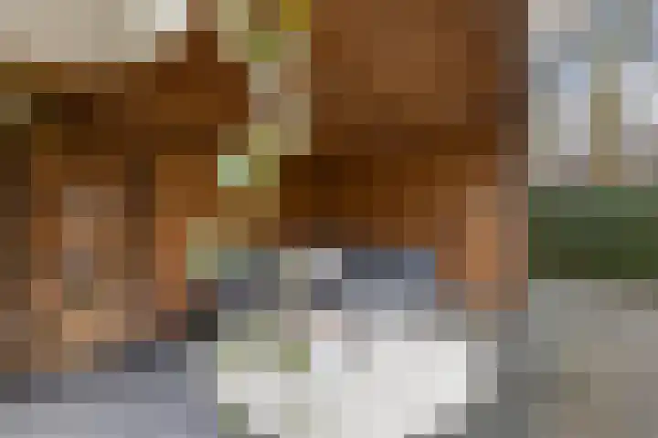 Beukenlaan 77 Borculo thumbnail 44