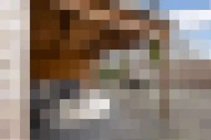 Beukenlaan 77 Borculo thumbnail 45