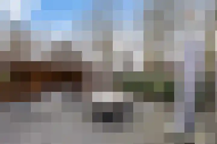 Beukenlaan 77 Borculo thumbnail 47