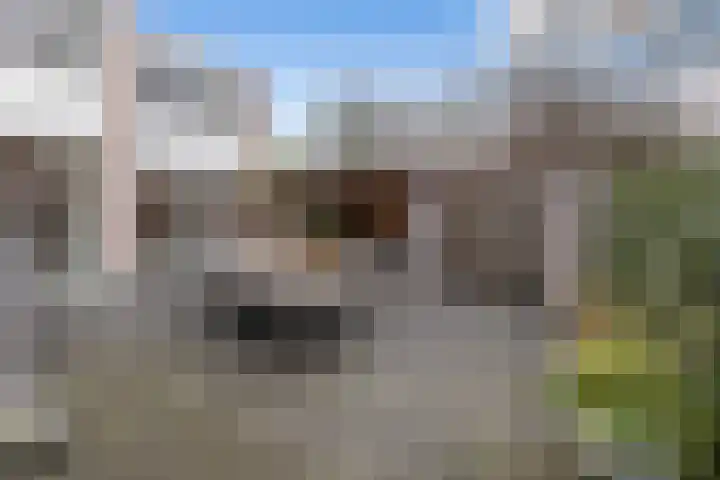 Beukenlaan 77 Borculo thumbnail 48