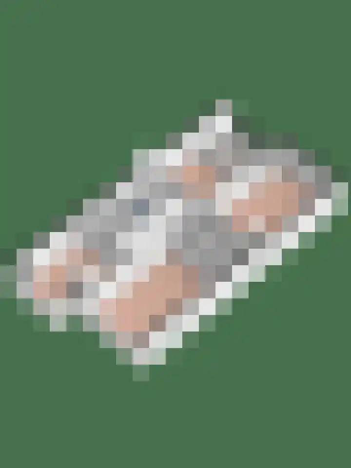 Beukenlaan 77 Borculo thumbnail 56