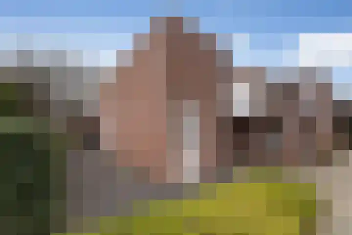 Beukenlaan 77 Borculo thumbnail 6
