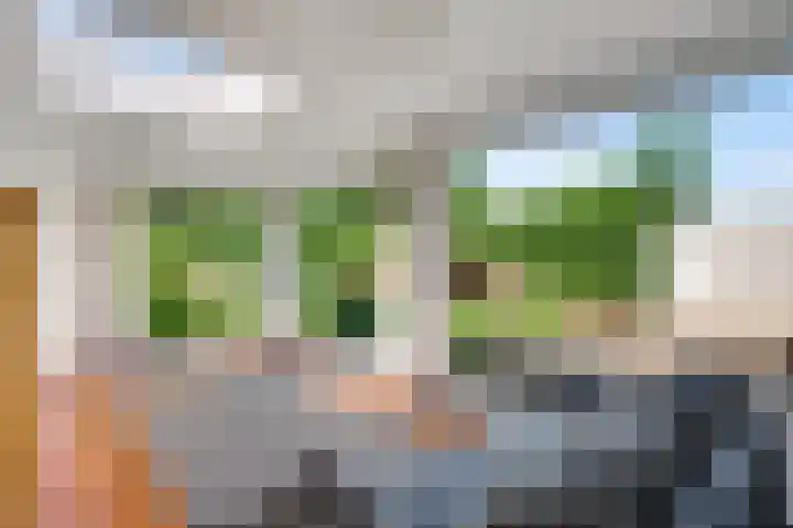 Beukenlaan 78 Bunde thumbnail 10