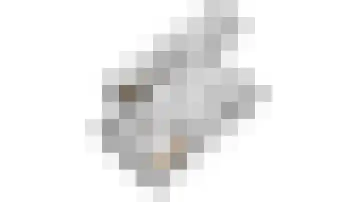 Beukenlaan 78 Bunde thumbnail 24