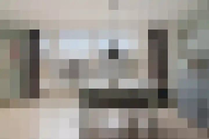 Beukenlaan 8 Borculo thumbnail 11