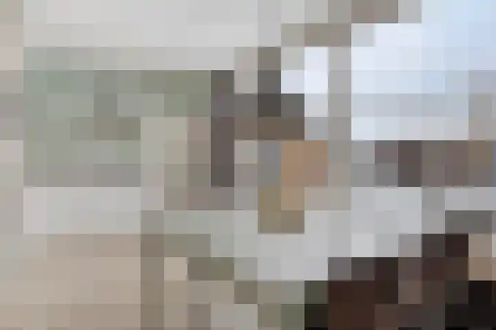 Beukenlaan 8 Borculo thumbnail 14