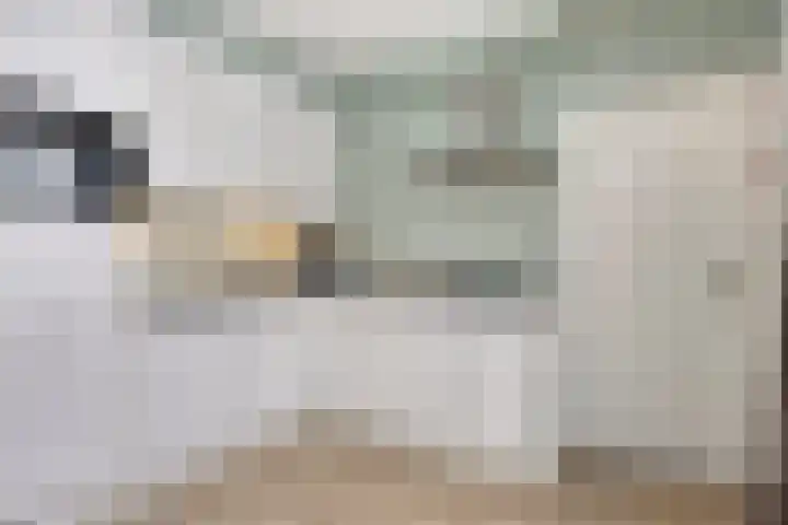 Beukenlaan 8 Borculo thumbnail 16