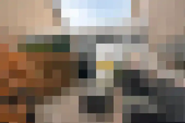 Beukenlaan 8 Borculo thumbnail 22