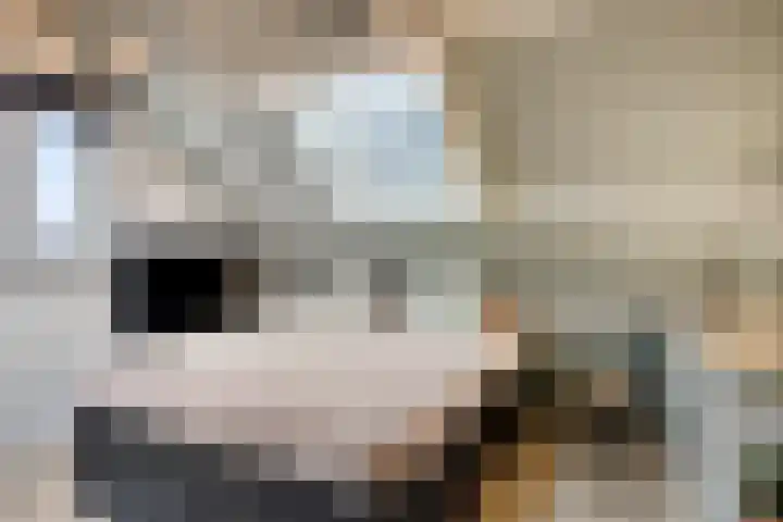 Beukenlaan 8 Borculo thumbnail 39