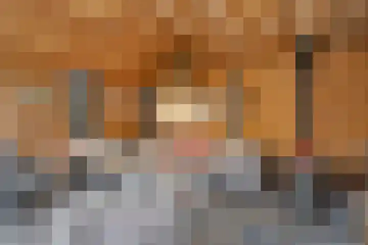 Beukenlaan 8 Borculo thumbnail 42