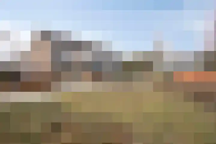 Beukenlaan 8 Borculo thumbnail 45