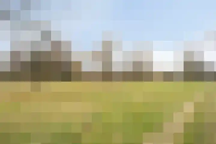 Beukenlaan 8 Borculo thumbnail 53