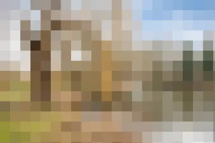 Beukenlaan 8 Borculo thumbnail 54