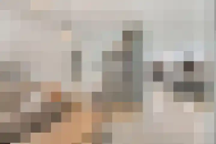 Beukenlaan 8 Borculo thumbnail 8