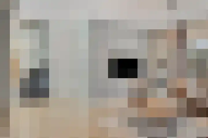 Beukenlaan 8 Borculo thumbnail 9