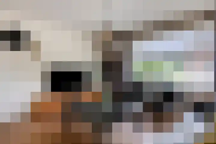 Beukenlaan 8 Heijen thumbnail 10