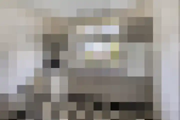 Beukenlaan 8 Heijen thumbnail 19