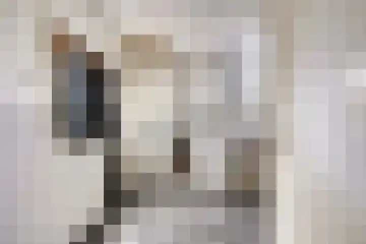 Beukenlaan 8 Heijen thumbnail 23