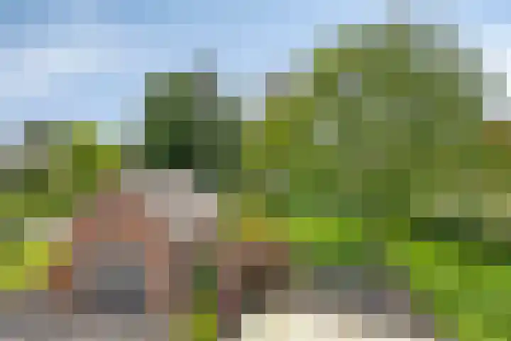 Beukenlaan 8 Heijen thumbnail 30