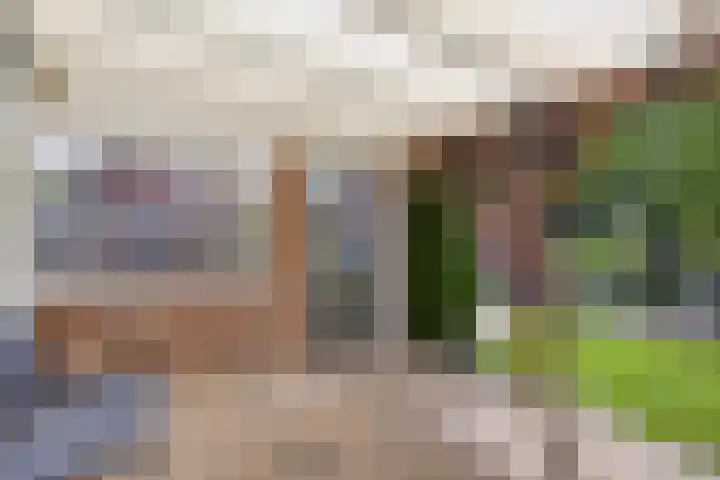 Beukenlaan 8 Heijen thumbnail 39