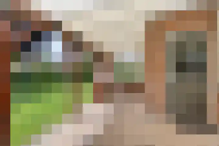 Beukenlaan 8 Heijen thumbnail 40